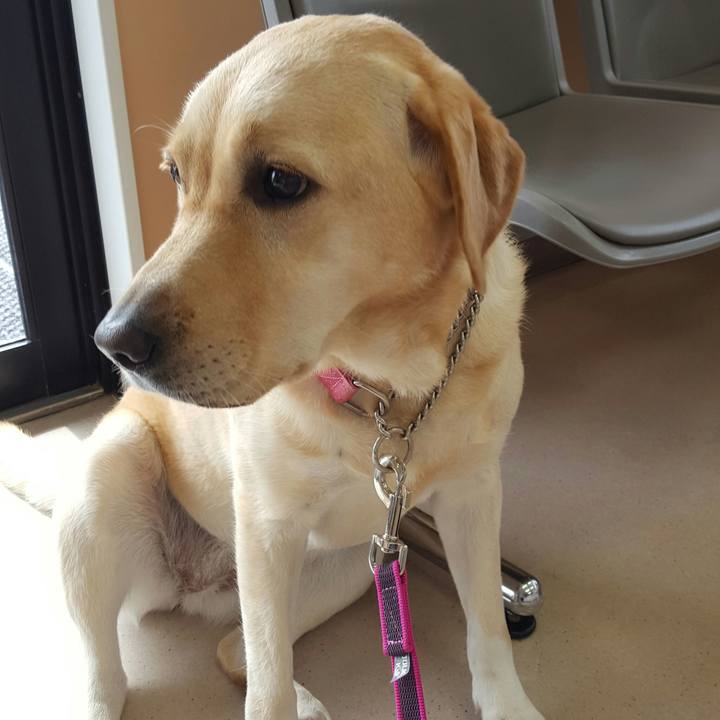 5290200f a0a2 4721 ae2f 49b987aec897