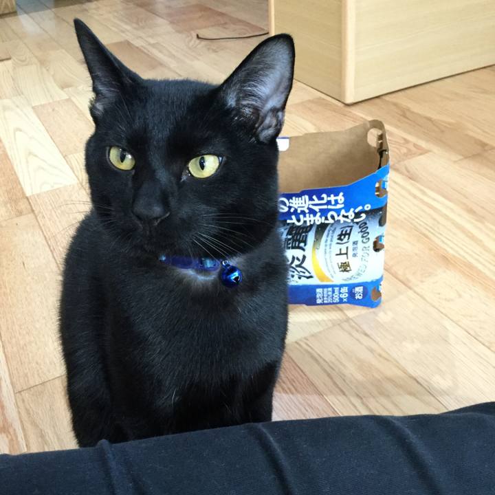 52906b25 114b 44eb a8a1 cc9de00af98e