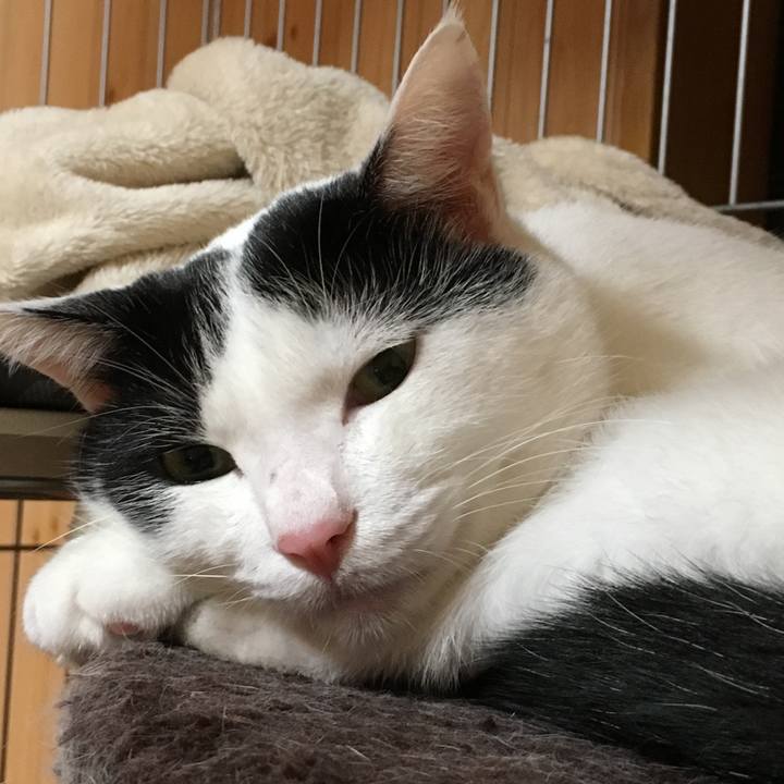 52907145 9ee0 4503 9eed 0b992acd8428