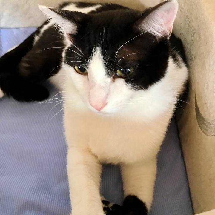 52910ae5 4182 48e0 8dfc 9ed3fcb1779e