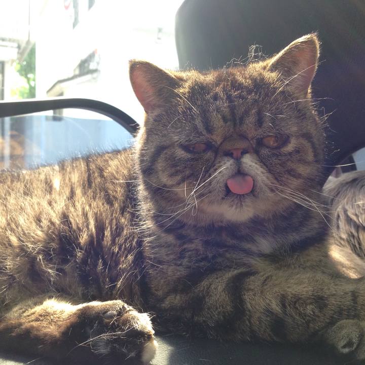 529113d6 3258 4fc8 898a 58fddecbaea4