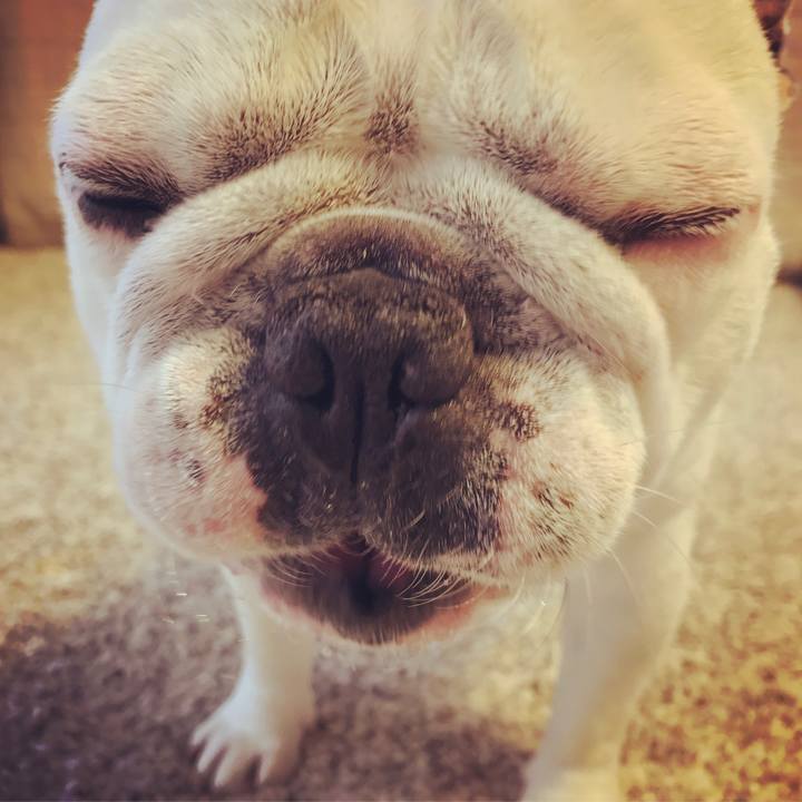 52913020 a64a 4b89 977a ed037fd55e6e