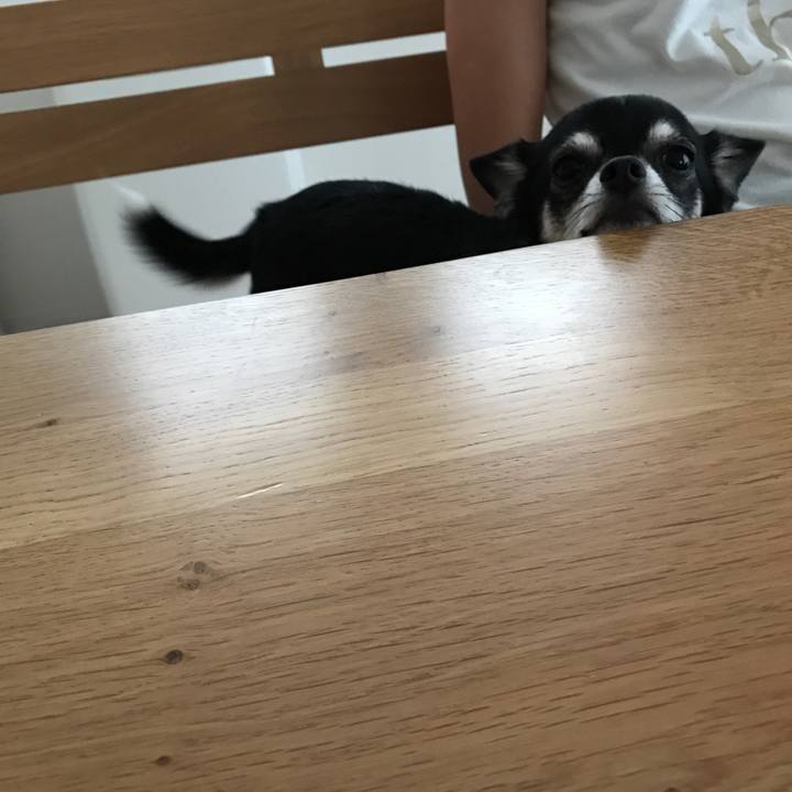 5291c7cd 96a8 4bc4 9777 6108ba66c6ca