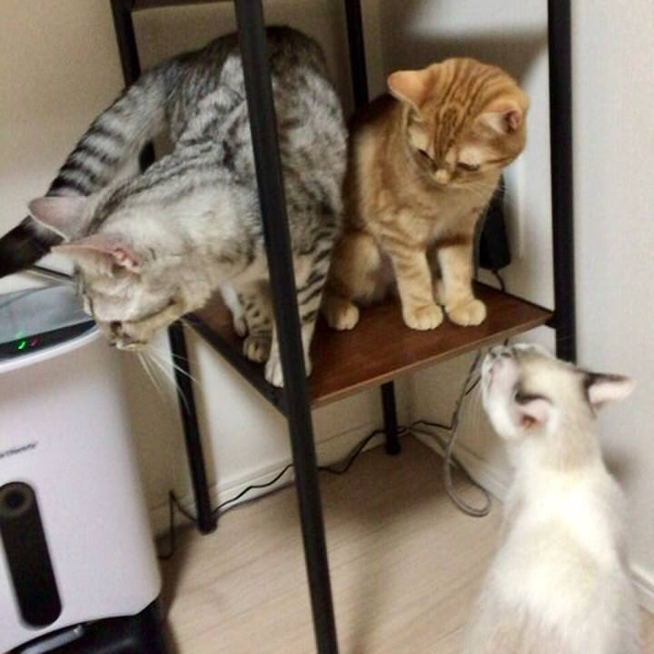 5291c84d a2c1 4602 8358 0dfad1c2e1d6