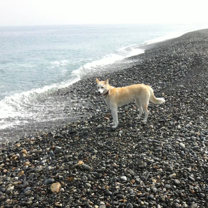 5292e59e 1ff3 4d82 9fdf 07bdc6fbf48d