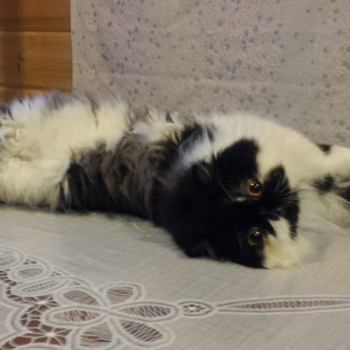 52934010 5242 4731 97a5 ab2d0d1e384b