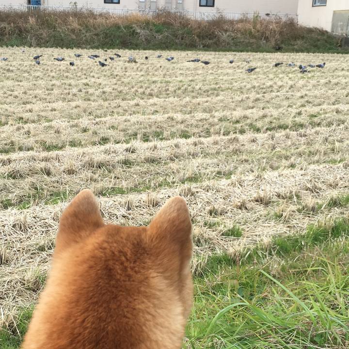 5293b028 d3c0 4da9 9975 436800223d67