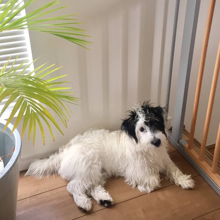 5293d828 456e 4a2c a9a0 910f0f9761ef