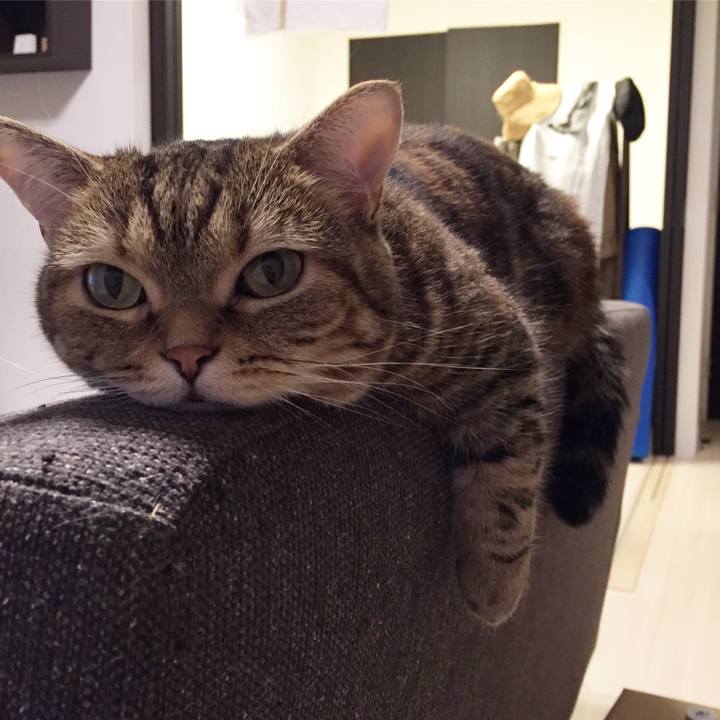 529430d5 7494 477c 89ad 4ce03c91a4cb