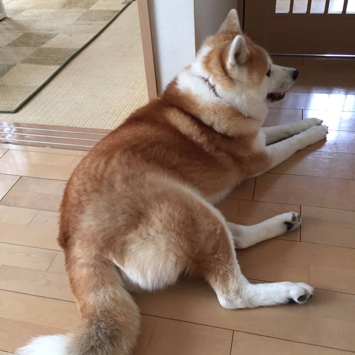 5294b531 893b 4ccb add9 fd0dbcc02f1f