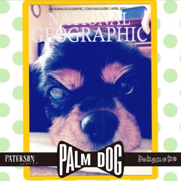 5294c143 2f19 4689 8a95 711eec9b604c