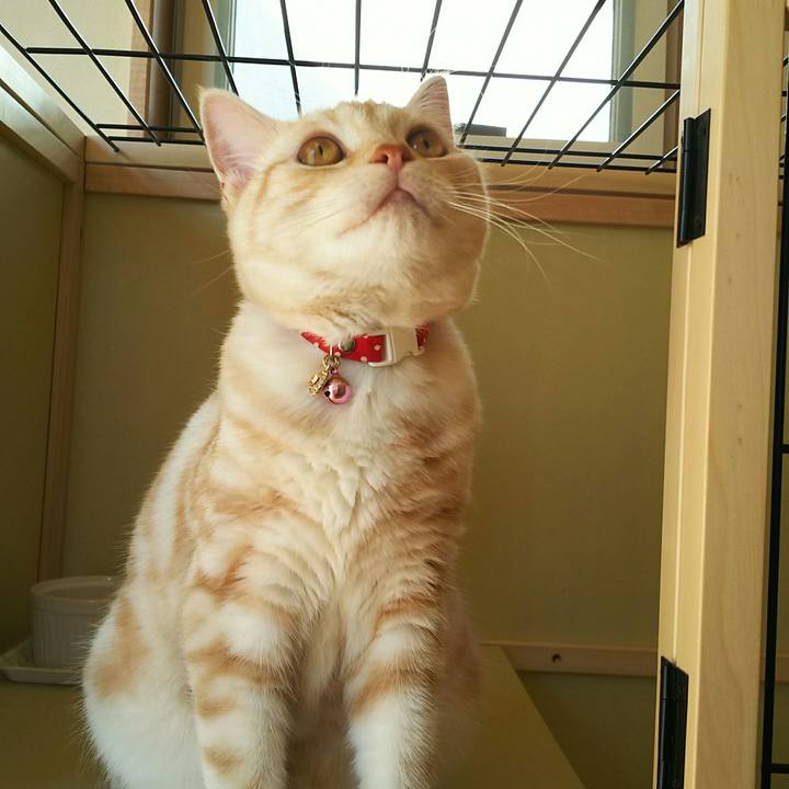 52951581 1bc8 4441 a705 fc241496ec3e