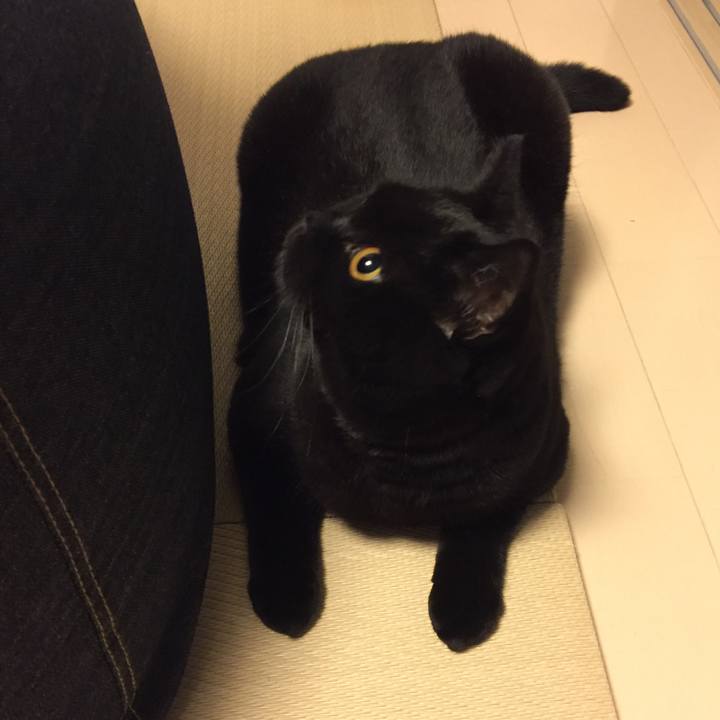 52954ddb 11d3 43bc 96a8 a8db7a000a6b