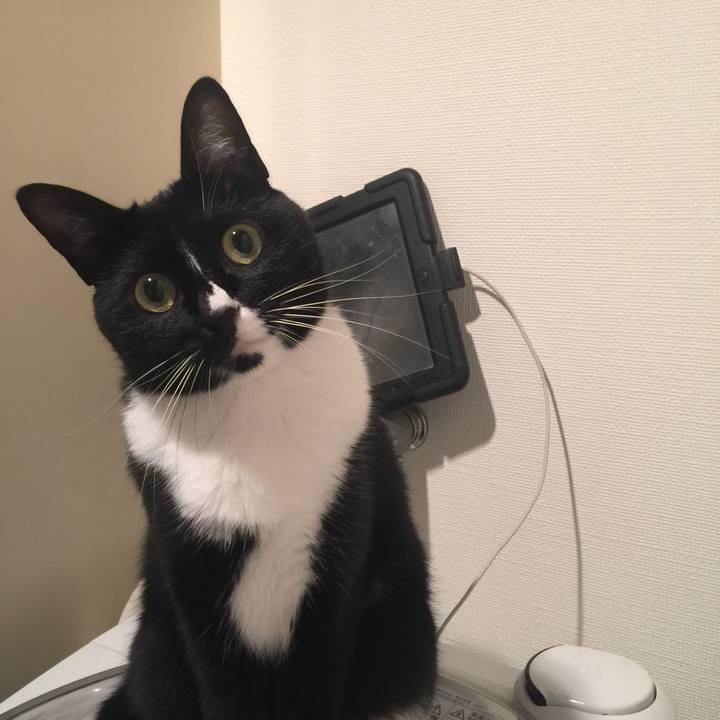 52968ea5 ccee 428a 9a56 5b830b2220e5