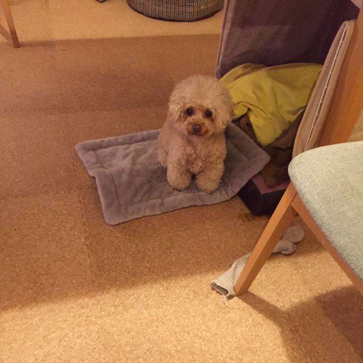 5296f048 a55a 47d1 b0d4 62197e04d440