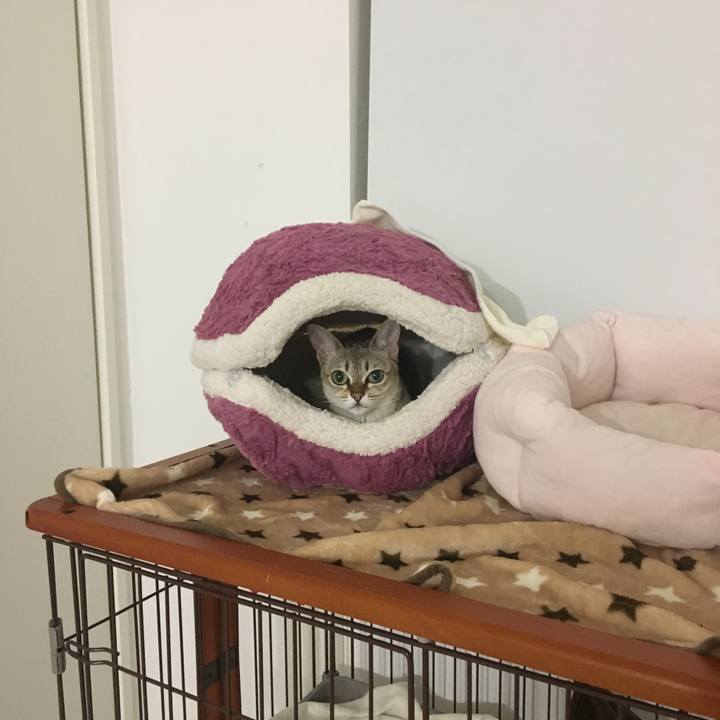 5297d303 dfab 41b3 836b a60ba3ce7bfd