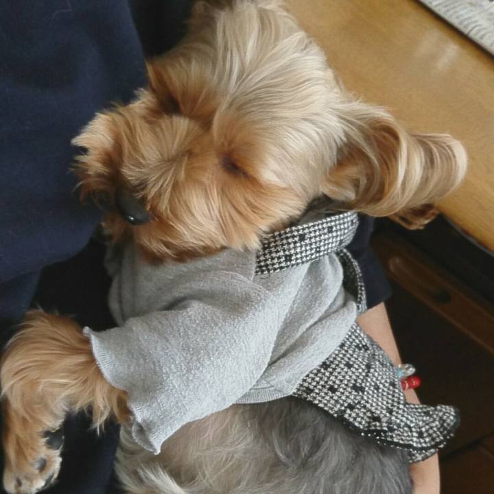 5297dad9 77c9 4da1 8793 b50fb7a5de4d