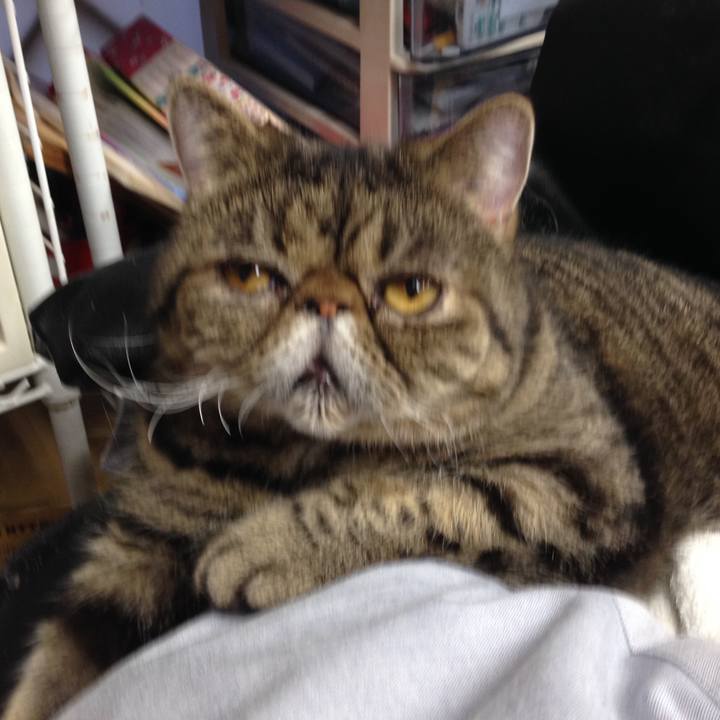 52983ca8 42a4 49f8 9f69 10b7e30de6f6