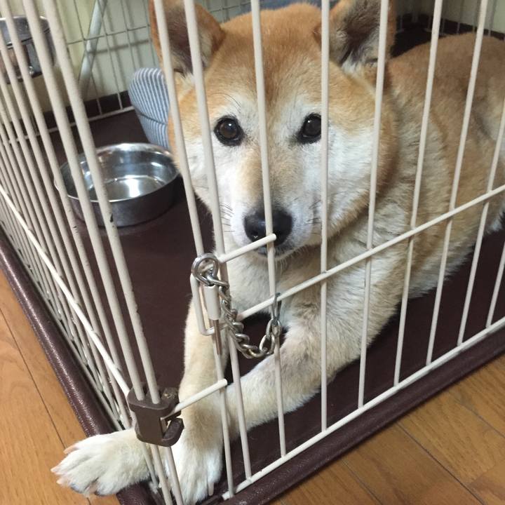 5298d488 8974 41a6 b468 9386b11e9b31