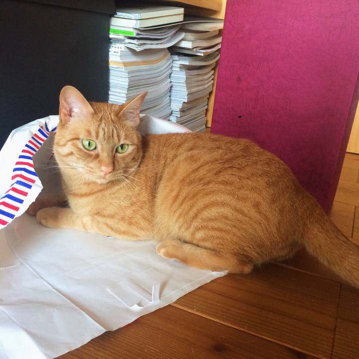 5298fe88 d647 4a69 89d9 48f8fdb84764