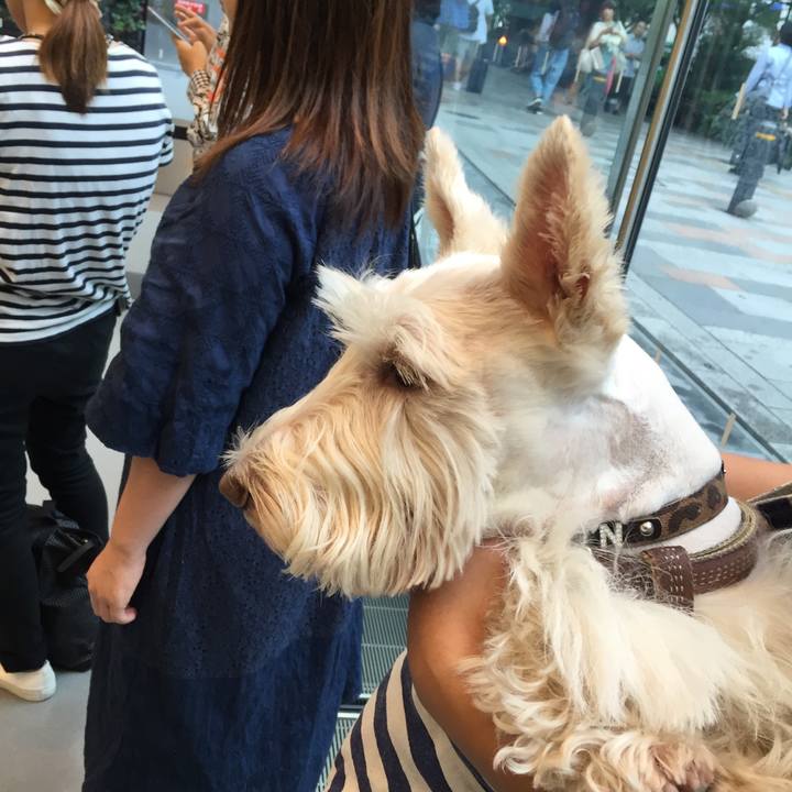 52991637 19c0 497f b0d9 d5c937a8072c