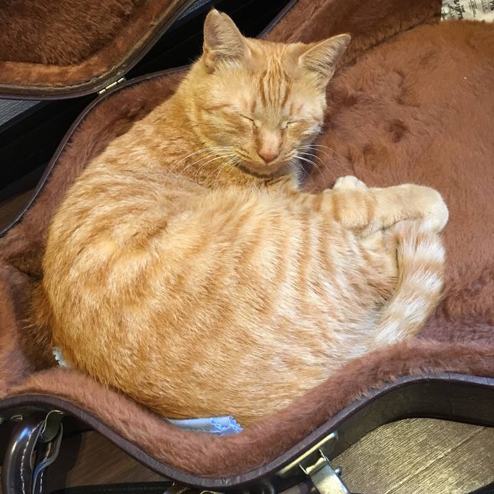 52997f76 1da3 44ef bfdf 36eec29073cd