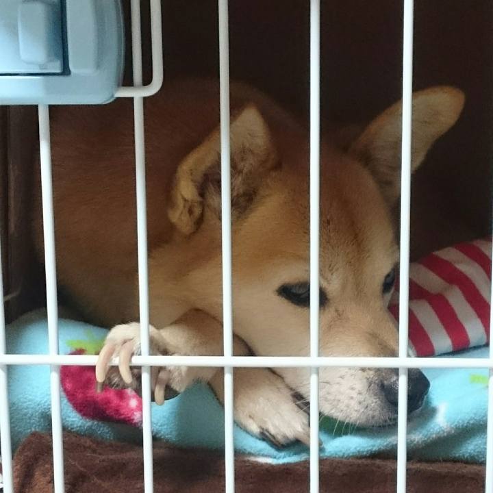 52999202 5ac5 488a 9b02 57beff137646