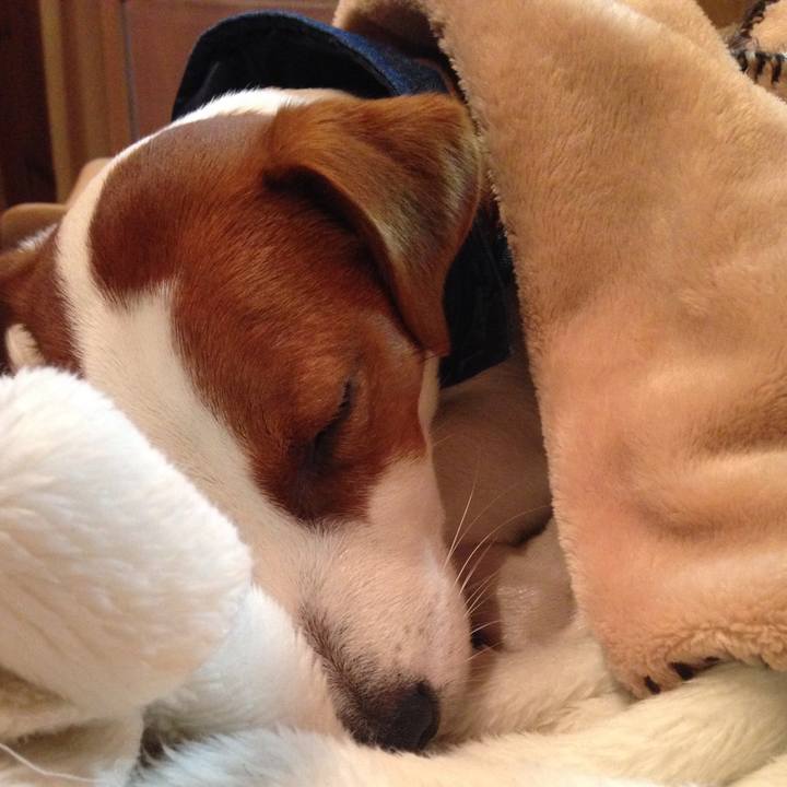 529a4915 23e8 4392 9854 76eadc025ea9