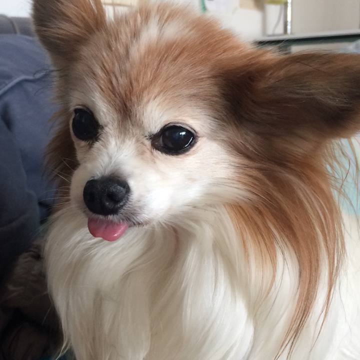 529aefd7 4c11 4d14 b635 799eb7465d28