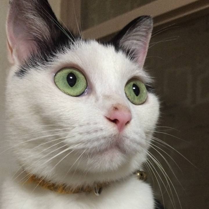 529bbcb7 6ccd 4cbf a24c 7ad60b91beb3