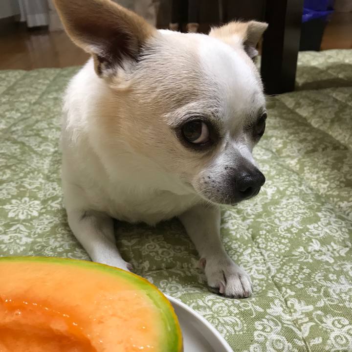 529bf663 d194 4a7c bc37 26230ffcdf92