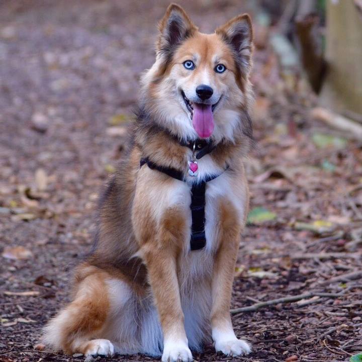 529e6b52 9149 4fa6 af2c 5d6344bec4c6