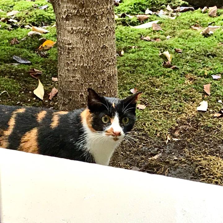 529e8a85 768e 45a6 bf2f 0fc9f29a5ede