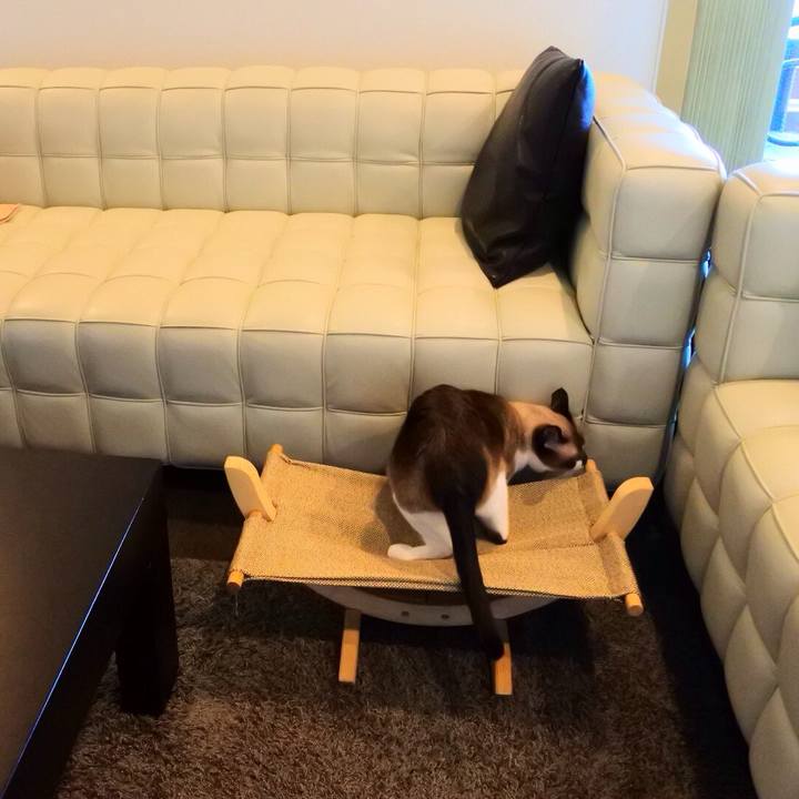 529eaf8a f8da 41a2 9c6a 06e4e22f60d4