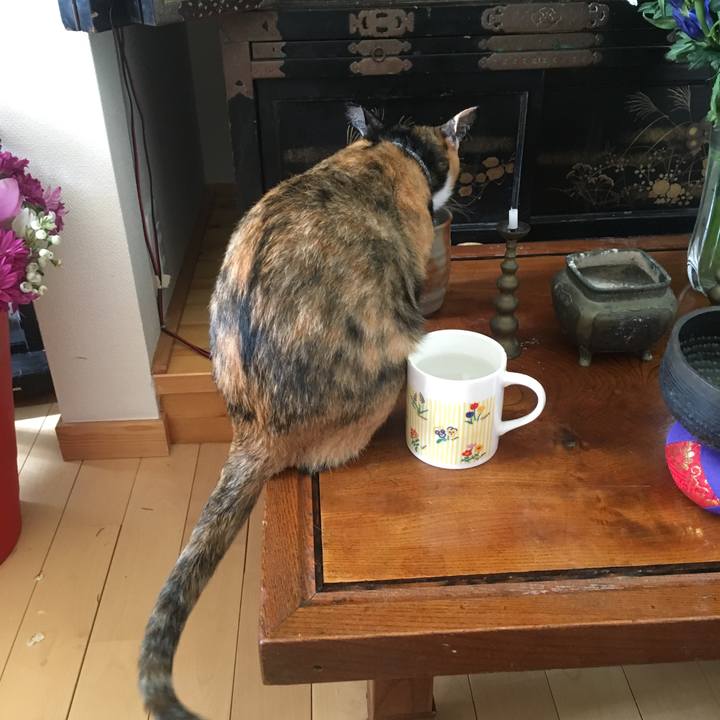 529eba77 440b 454a b4cb 4120a58cbadf