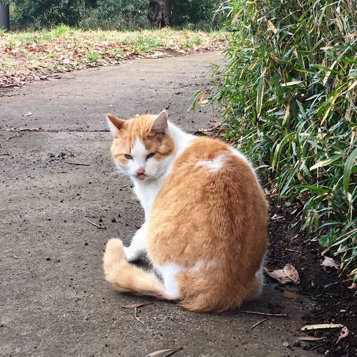 529eca9a 1b6c 4407 8d8c 293136447ddb