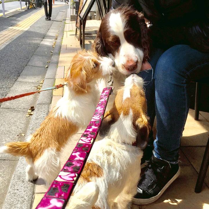 529ecca5 6d65 4219 9de0 9ca1f18f8cd0