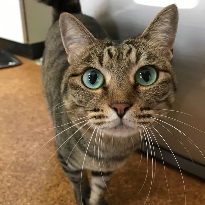 529f6761 a4b6 4490 b1e5 ce33ca50e779