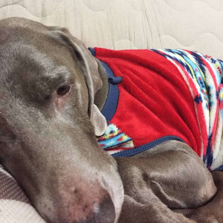 529f8272 c08a 488e a27d 5a11e6c462c3