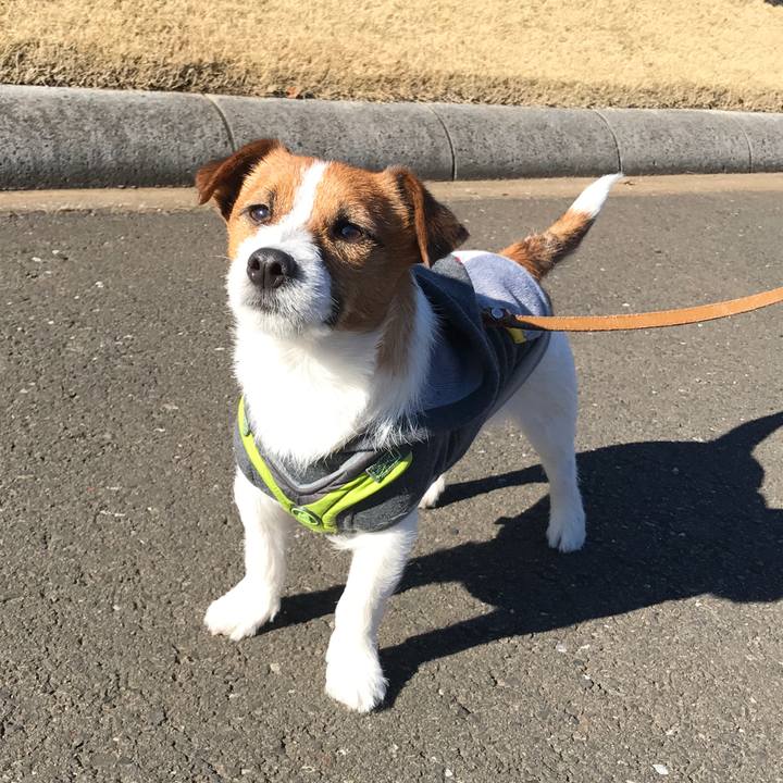 52a01484 4970 4f12 8cc2 5cd2741b1812