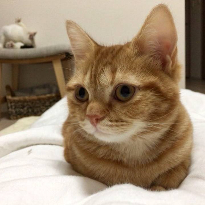 52a02618 37c1 48f2 b060 757f4c6912ac