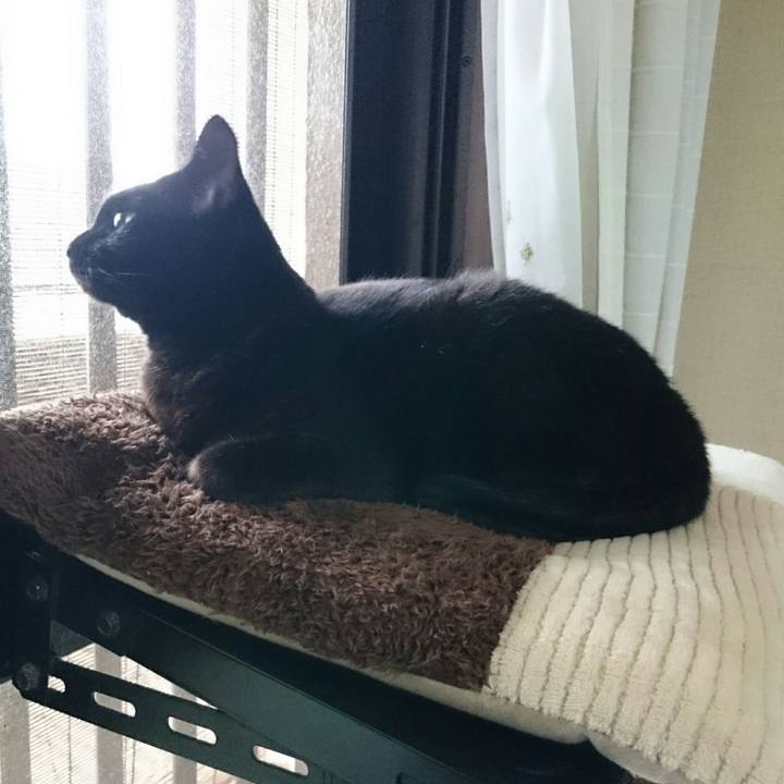 52a146ed b8ed 48ec a6db 81b34d629be0