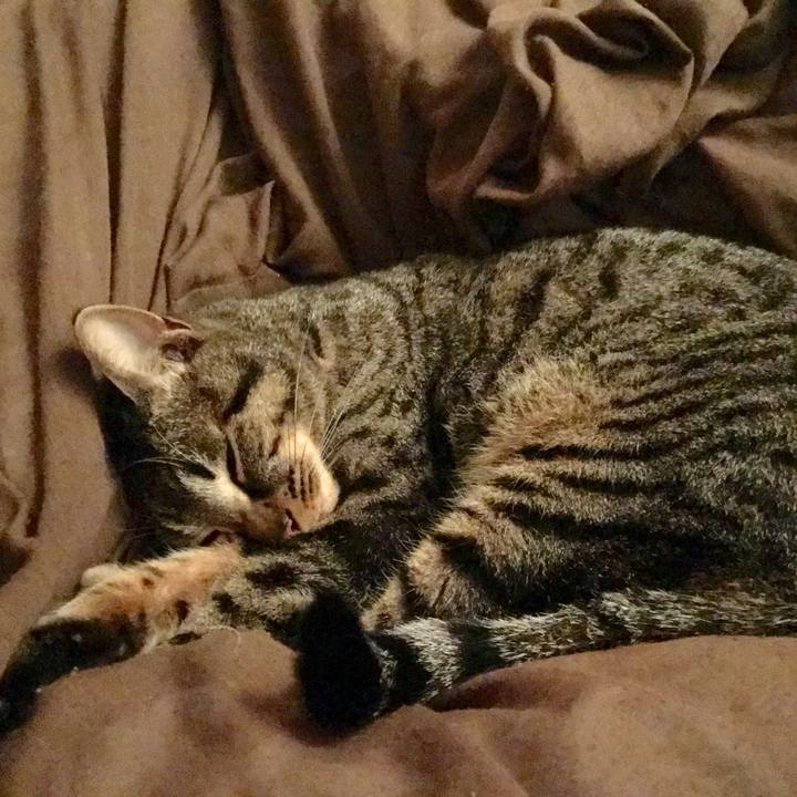 52a19d70 6fc3 4eda 9750 3ad765ebfce9