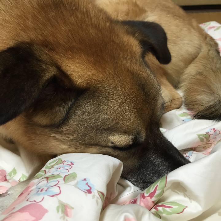 52a21472 10d7 4bd1 a4bc ab06f7ebac20