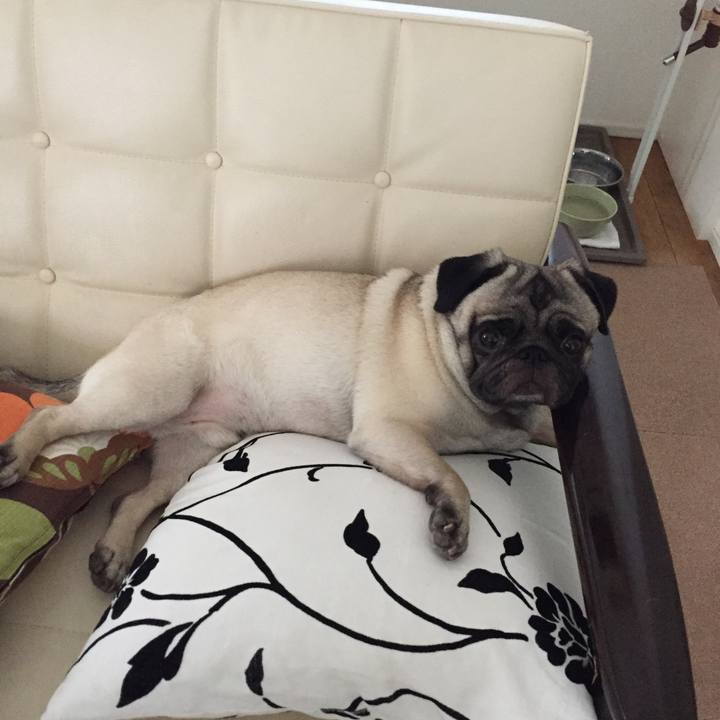 52a304b5 9fea 4373 9eda 100153dc27be