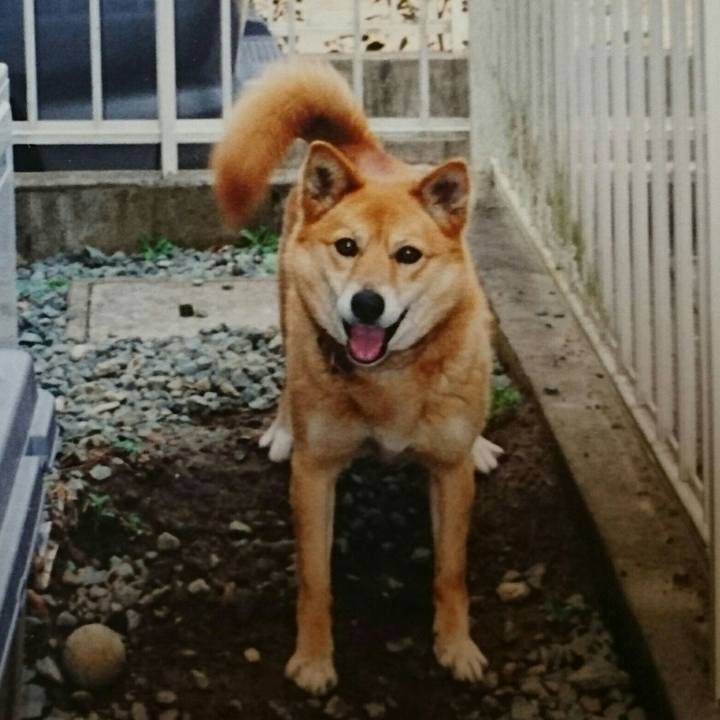 52a39479 3495 4829 9f1b 403adf1b586b