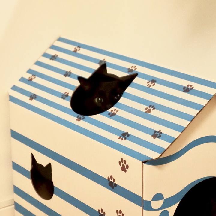 52a3d706 671a 41b6 8847 7107cb8aa0bb