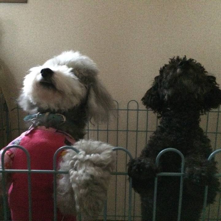 52a3f562 579b 4c84 ab73 1dbd143b4693