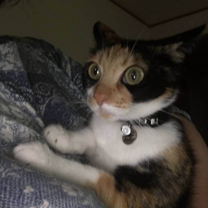 52a40f90 2ec5 463e 8bc5 a58ec2635541