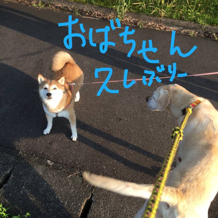 52a46cb9 dddf 494a ba2d 8752190f71ae